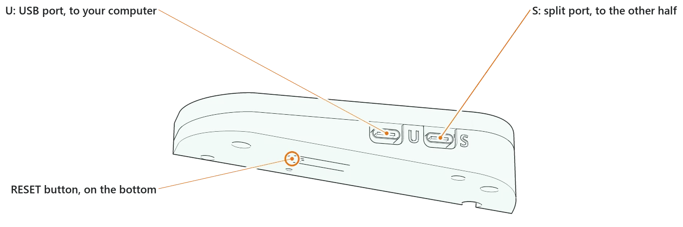 The finger end of a right half's case, from below. The U (USB) port and the S (split) port are side by side in the end wall, and the RESET button hole is in the bottom.