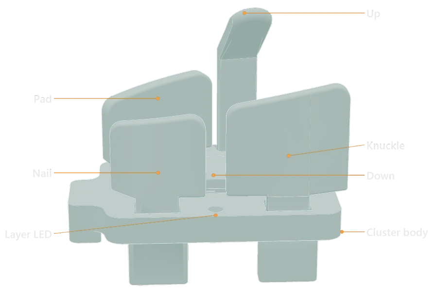A right thumb cluster seen almost level from its outer side, keys labeled: the Nail and Knuckle keys in front, the Pad key behind, whose sloped top runs on into the Knuckle top as one line rising toward the Up key, the Up key, the Down key between them, the layer LED, and the cluster body.