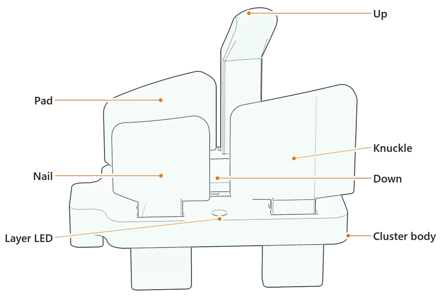 A right thumb cluster seen almost level from its outer side, keys labeled: the Nail and Knuckle keys in front, the Pad key behind, whose sloped top runs on into the Knuckle top as one line rising toward the Up key, the Up key, the Down key between them, the layer LED, and the cluster body.