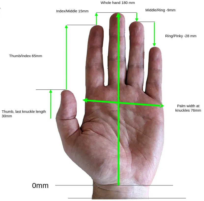 A hand measured from the wrist crease: 180 mm to the middle fingertip and 76 mm across the palm at the knuckles, with the differences between finger lengths marked.
