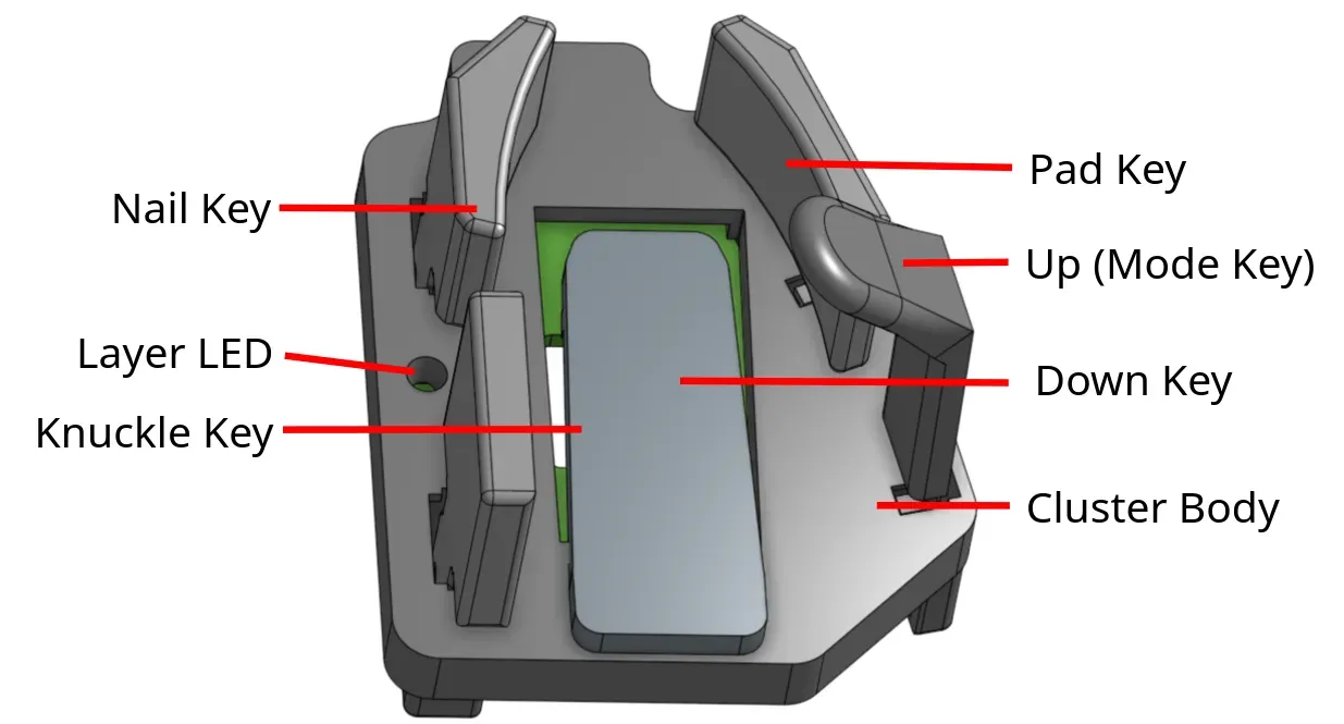 A thumb cluster with its keys labeled: Nail, Knuckle, Pad, Up, Down, and the layer LED.